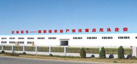 遼寧正業花生產業：共抗疫情，龍頭企業顯擔當！