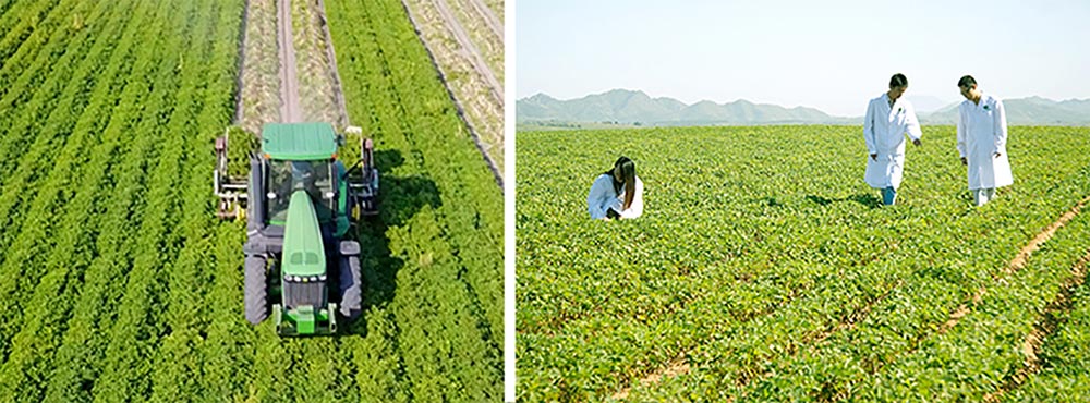 遼寧正業花生產業：共抗疫情，龍頭企業顯擔當！(圖3)